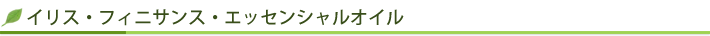 �C���X�E�t�B�j�T���X�E�G�b�Z���V�����I�C��